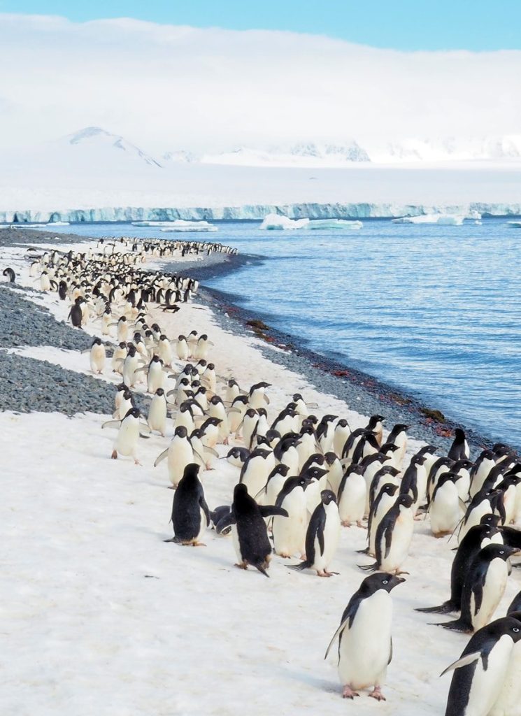Trip motard en Antarctique