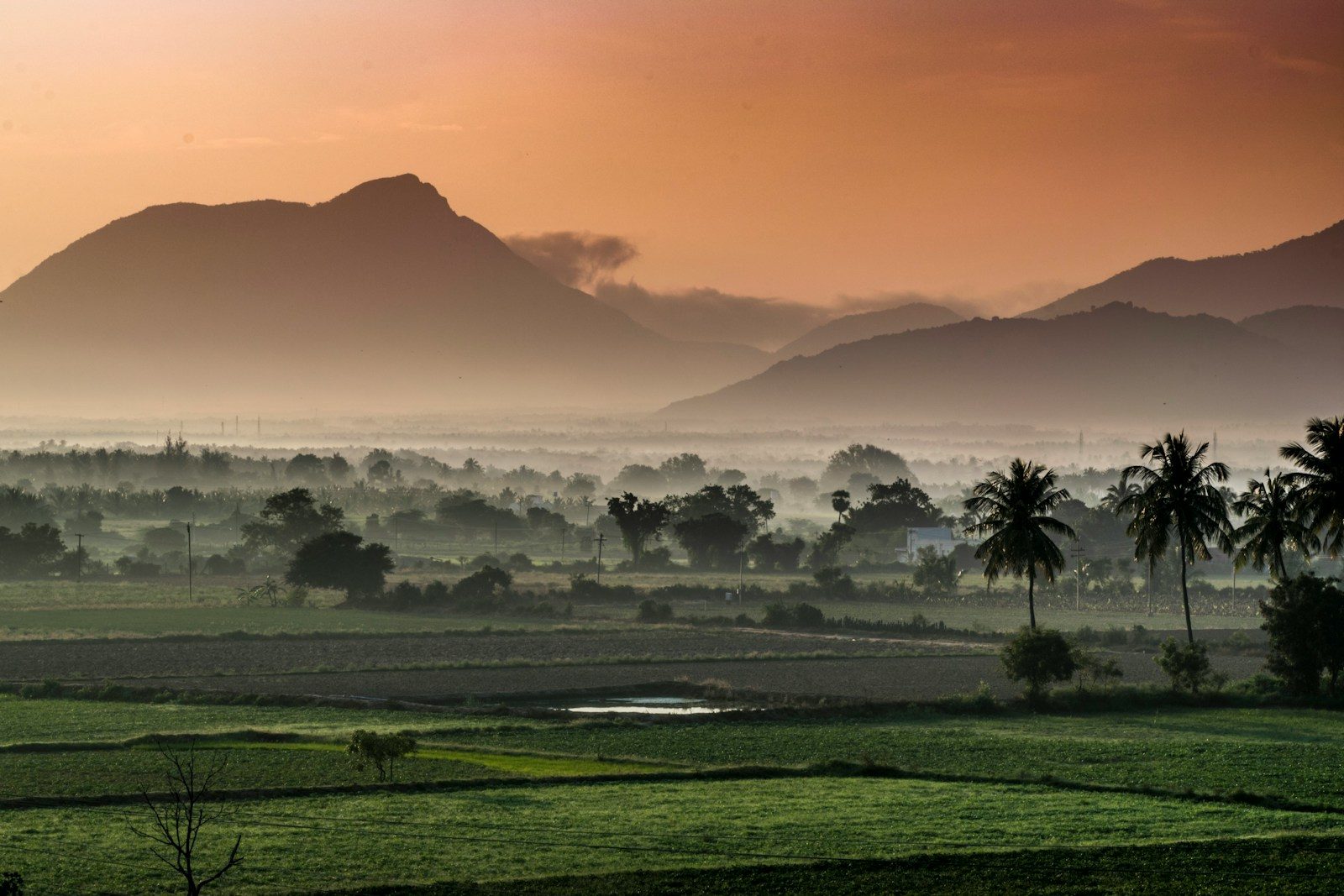 Pourquoi partir en road trip moto en Inde