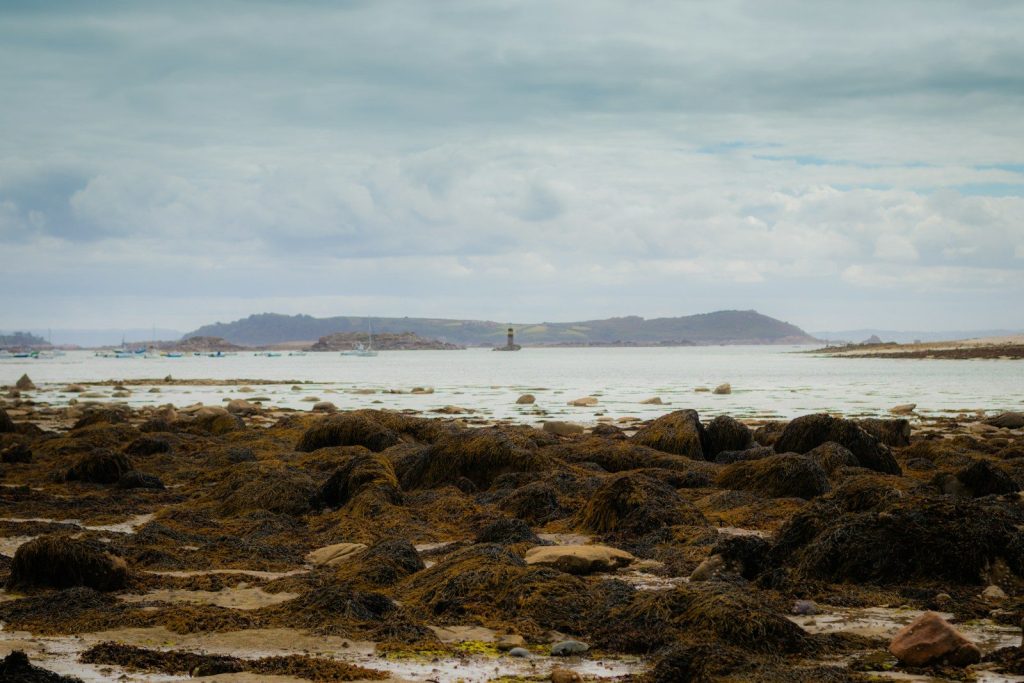 roadtrip Grande-Bretagne