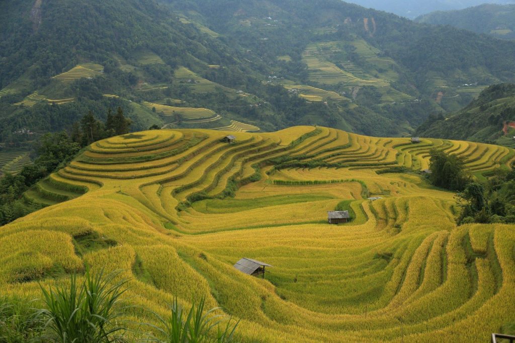 Découvrir Ha Giang Loop à moto