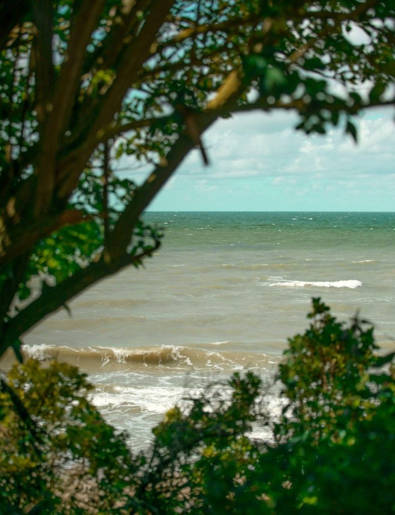 traverser guyane française