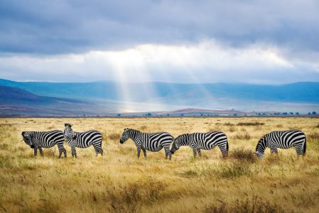 Location de moto en Afrique : tout ce que vous devez savoir