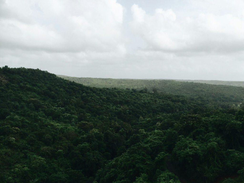 bateau moto guyane française