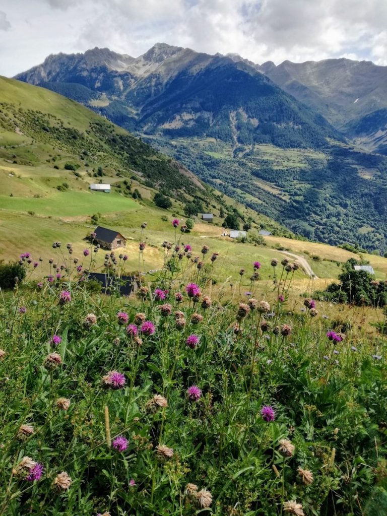 Visiter les Pyrénées
