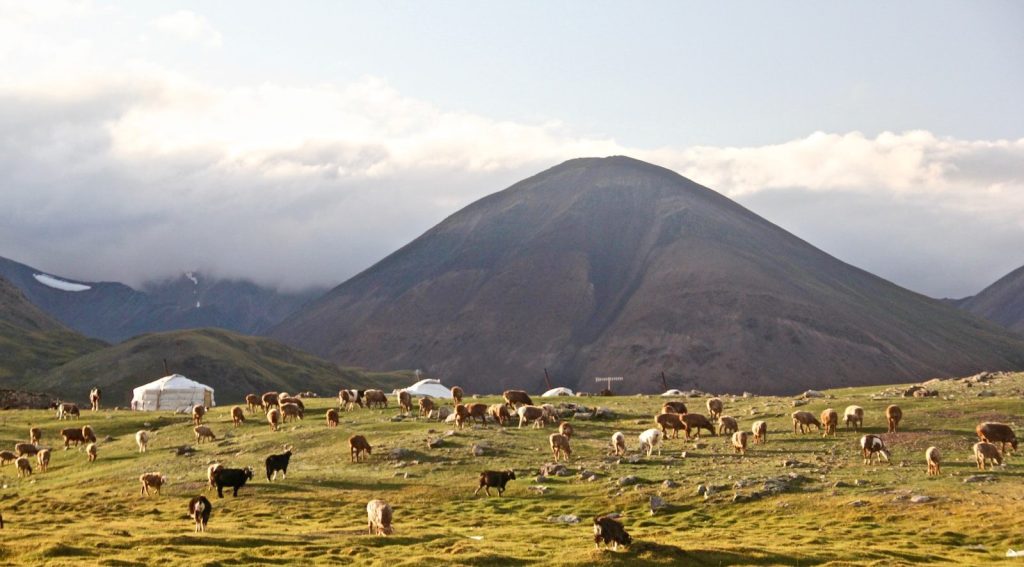 Découvrir la Mongolie à moto