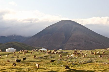 Guide de voyage à moto : Mongolie
