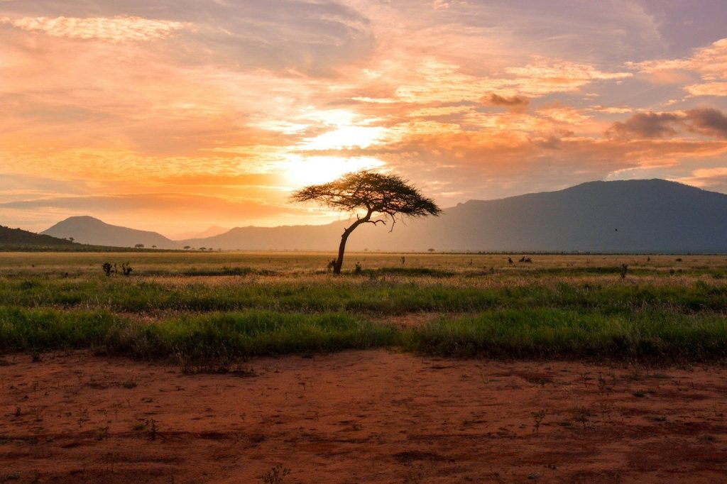 Trip motard en Afrique du Sud